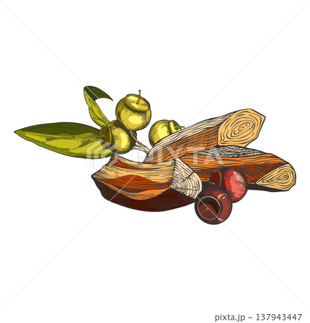 Sandalwood tree organic products vector sketch composition, hand drawn leaves with seeds, fragrant wooden sticks pile Sandalwood tree organic products vector sketch composition, hand drawn leaves with seeds, fragrant wooden sticks pile 137943447