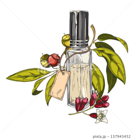 Sandalwood tree and bottle of oil sketch, vector hand drawn essential herbal product, organic cosmetics oil flask Sandalwood tree and bottle of oil sketch, vector hand drawn essential herbal product, organic cosmetics oil flask 137943452