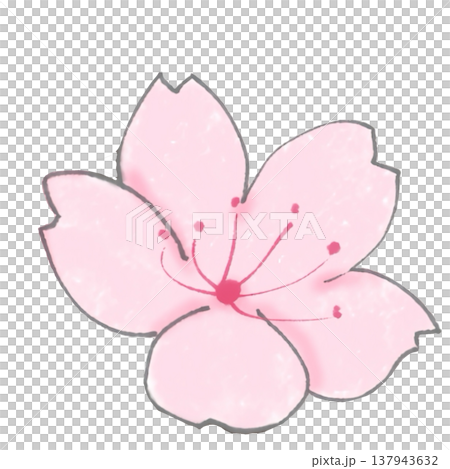 シンプルな桜の花のイラスト 137943632