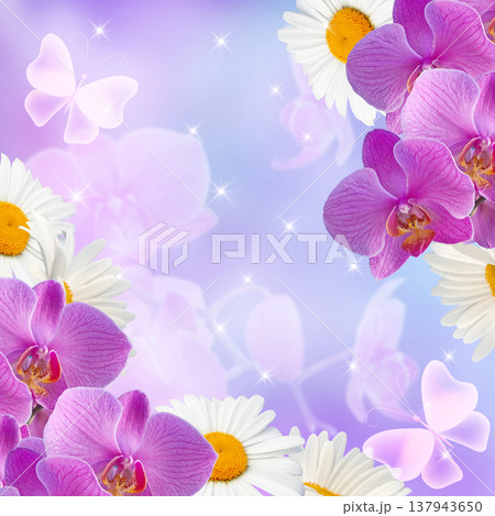 Daisy with orchids and stars 137943650