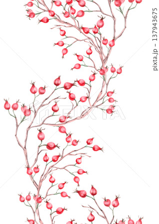 A seamless vertical border featuring bare branches of ripe rose hips. Isolated watercolor illustration for designs related to natural ingredients, health, herbal medicine, and wedding typography. 137943675