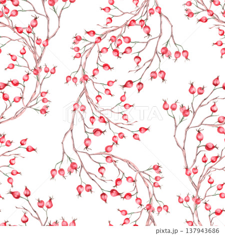 A seamless pattern with vertical branches of ripe rose hips. Illustration for vegan products, herbal medicine, natural cosmetics, textiles, and vintage printing. 137943686
