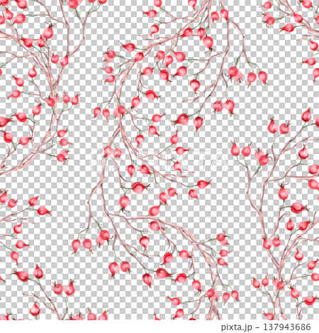 A seamless pattern with vertical branches of ripe rose hips. Illustration for vegan products, herbal medicine, natural cosmetics, textiles, and vintage printing. 137943686