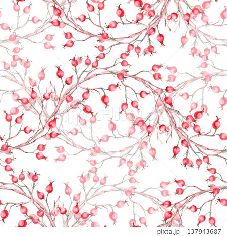 A seamless pattern with branches of ripe rose hips in a wave shape. Illustration for vegan products, herbal medicine, natural cosmetics, textiles, and vintage printing. 137943687