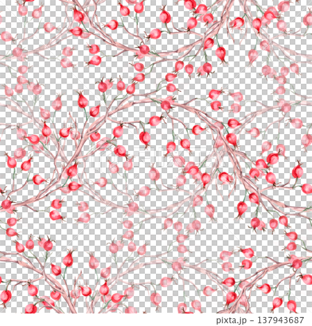 A seamless pattern with branches of ripe rose hips in a wave shape. Illustration for vegan products, herbal medicine, natural cosmetics, textiles, and vintage printing. 137943687