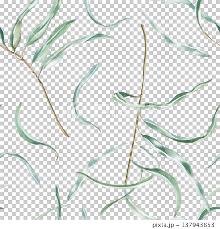 A seamless pattern of eucalyptus branches. Watercolor illustration for natural cosmetics, baby products, textiles, eco-brands, packaging, postcards, vintage designs, and wallpaper. 137943853