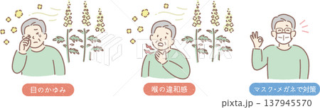 ブタクサ花粉症の症状（目のかゆみ、喉の違和感）メガネ、マスクで対策_図解_高齢男性 137945570