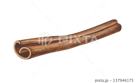 Watercolor illustration of a brown twisted cinnamon stick on an isolated background. Realistic drawing of a fragrant ingredient for hot drinks, cooking and aromatherapy. Watercolor illustration of a brown twisted cinnamon stick on an isolated background. Realistic drawing of a fragrant ingredient for hot drinks, cooking and aromatherapy. 137946175