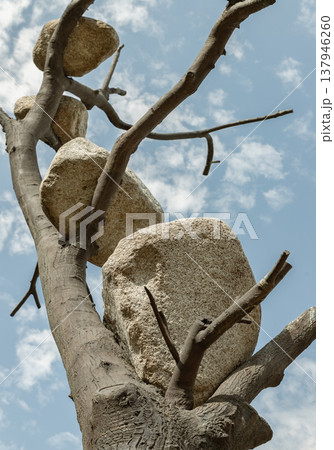 A leading figure of the Arte Povera movement, Giuseppe Penone explores the ancestral bond between humanity and nature in his bronze masterpiece, Idee di pietra (Ideas of Stone). 137946260