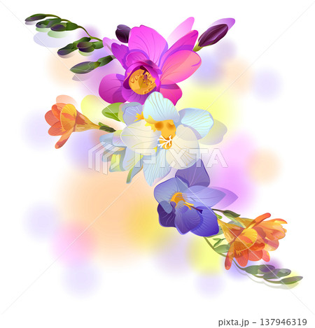 Greeting card with gentle freesia flowers Greeting card with gentle freesia flowers 137946319