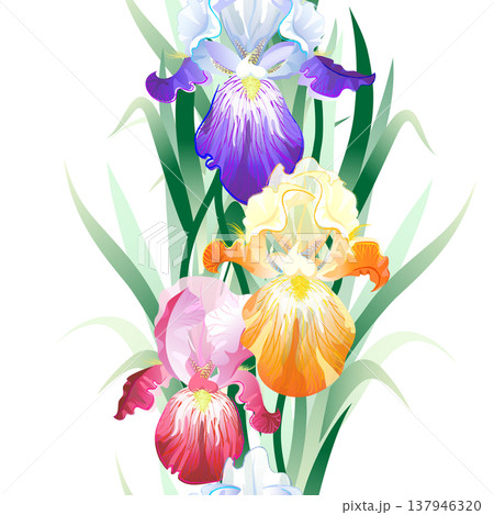 Vector seamless pattern with violet,orange and vinous Iris flowers on the white background Vector seamless pattern with violet,orange and vinous Iris flowers on the white background 137946320
