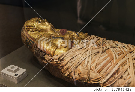 金彩の棺に収められたミイラ、博物館で部分的に露出した状態 金彩の棺に収められたミイラ、博物館で部分的に露出した状態 137946428