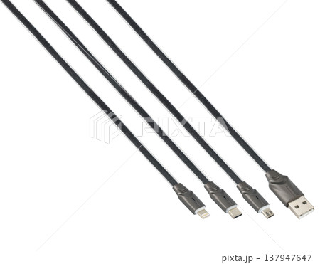 Cable and connector for USB, Type-C, Micro USB, Lightning, on a white background, collage 137947647