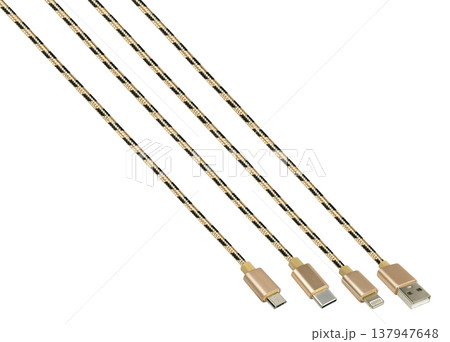 Cable and connector for USB, Type-C, Micro USB, Lightning, on a white background, collage 137947648