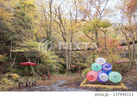 茨城 花貫渓谷 茨城 花貫渓谷 137948111