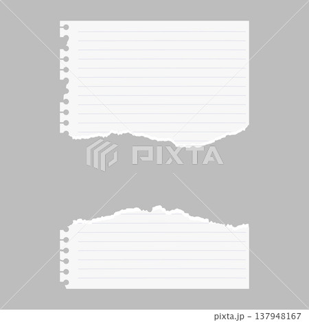Torn scraps of lined notebook paper with jagged edges. 137948167