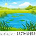 Summer nature landscape with lake. Beautiful sunny illustration of meadow with pond. Spring landscape with blue sky, clouds and green grass 137948458