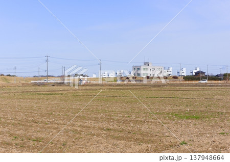 茨城県取手市岡堰周辺2026年3月 茨城県取手市岡堰周辺2026年3月 137948664