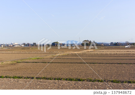 茨城県取手市国道6号線沿いの風景2026年3月 137948672