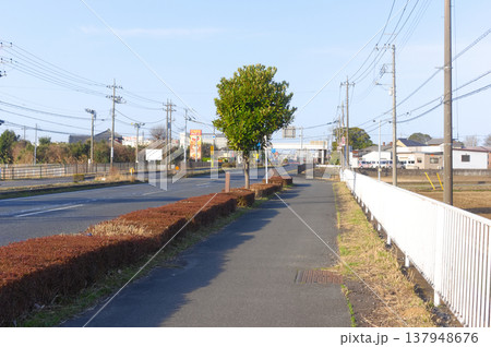 茨城県取手市国道6号線沿いの風景2026年3月 茨城県取手市国道6号線沿いの風景2026年3月 137948676