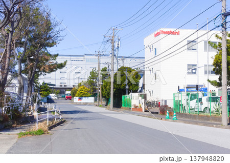 千葉県市川市市川漁港周辺2026年3月 137948820
