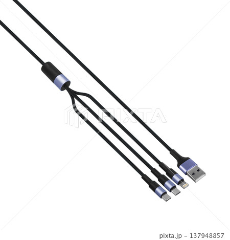 Cable and connector for USB, Type-C, Micro USB, Lightning, on a white background, collage Cable and connector for USB, Type-C, Micro USB, Lightning, on a white background, collage 137948857