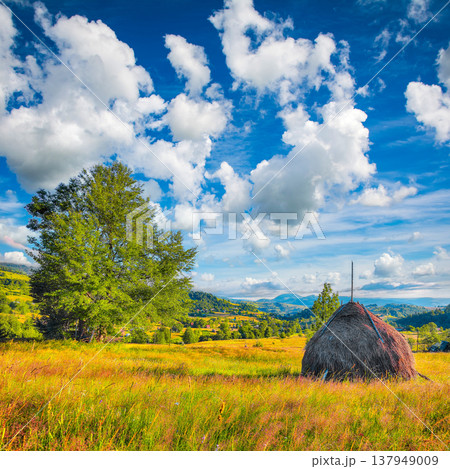 Captivating countryside landscape with forested hills and haystacks on a grassy rural field in mountains. Captivating countryside landscape with forested hills and haystacks on a grassy rural field in mountains. 137949009