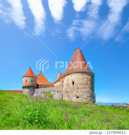 Breathtaking morning view of Hunyad Castle (Corvin's Castle) with wooden bridge Breathtaking morning view of Hunyad Castle (Corvin's Castle) with wooden bridge 137949021