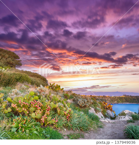 Remarkable spring view on the the cape Milazzo panorama of nature reserve. 137949036