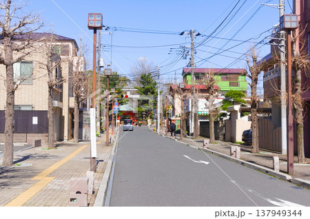 千葉県市川市葛飾八幡宮周辺2026年3月 137949344