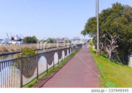 千葉県市川市真間川沿いの風景2026年3月 千葉県市川市真間川沿いの風景2026年3月 137949345
