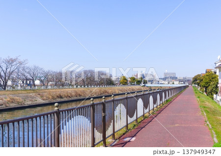 千葉県市川市真間川沿いの風景2026年3月 137949347