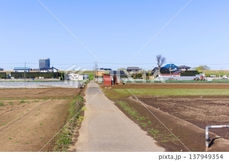 千葉県松戸市新松戸の風景2026年3月 137949354