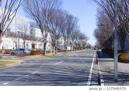 千葉県柏市東京大学柏キャンパス周辺2026年3月 137949379