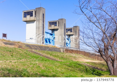 千葉県松戸市松戸水門周辺2026年3月 千葉県松戸市松戸水門周辺2026年3月 137949778