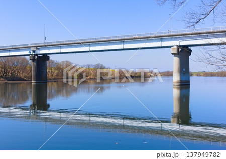 千葉県松戸市上葛飾橋2026年3月 137949782