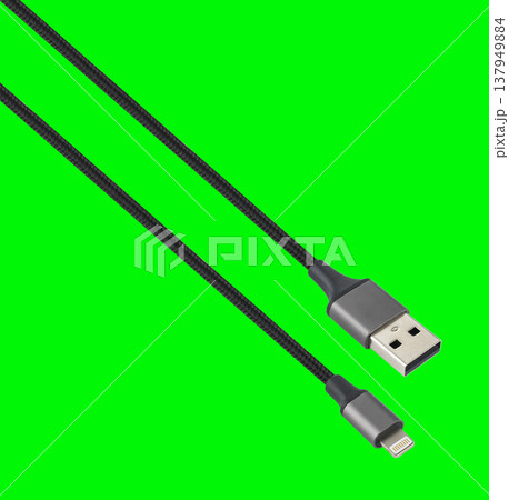 cable with USB and Lightning connector, on a green background 137949884