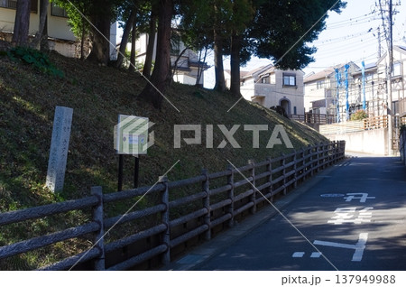 千葉県柏市カタクリ群生地周辺2026年3月 137949988