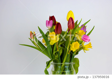 Colorful spring tulips and daffodils arranged in a transparent glass vase against a neutral background. Colorful spring tulips and daffodils arranged in a transparent glass vase against a neutral background. 137950016