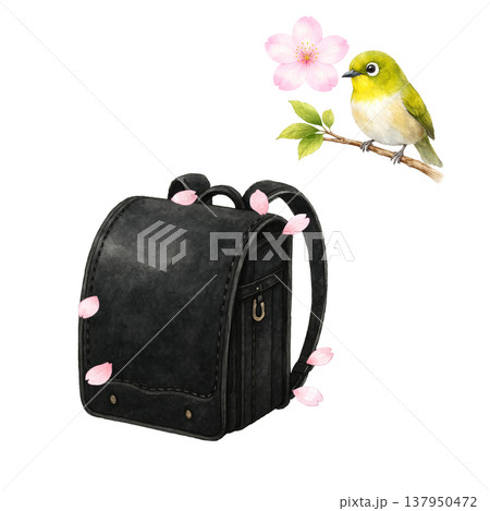 ランドセルと小鳥 桜 春 入学 新生活 水彩イラスト素材 ランドセルと小鳥 桜 春 入学 新生活 水彩イラスト素材 137950472