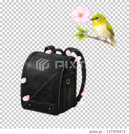ランドセルと小鳥 桜 春 入学 新生活 水彩イラスト素材 ランドセルと小鳥 桜 春 入学 新生活 水彩イラスト素材 137950472