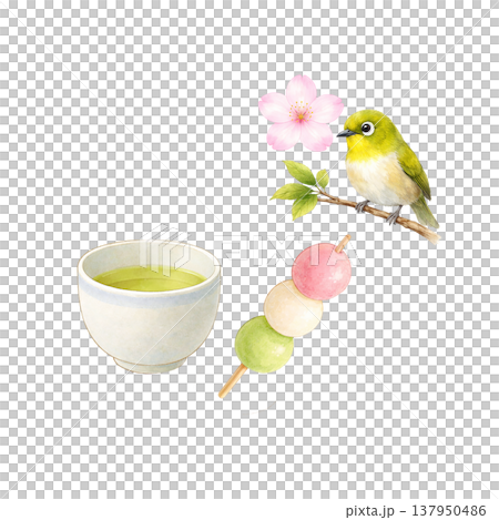 團子（米粉團子）、綠茶、小鳥、櫻花、春天、日式咖啡館、水彩插畫素材 137950486