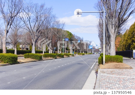 千葉県柏市柏の葉公園周辺2026年3月 137950546