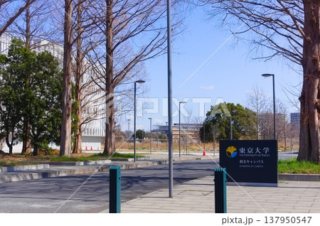 千葉県柏市柏の葉公園周辺2026年3月 137950547