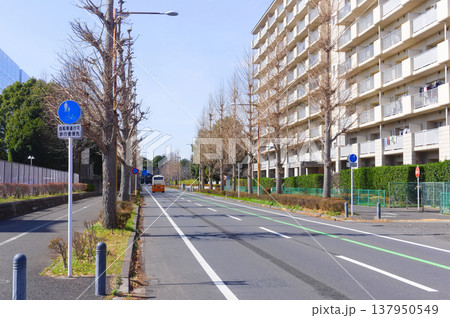 千葉県柏市柏の葉公園周辺2026年3月 137950549