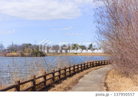 千葉県柏市柏の葉公園周辺2026年3月 千葉県柏市柏の葉公園周辺2026年3月 137950557