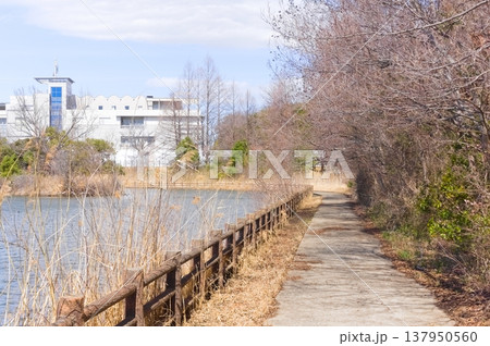 千葉県柏市柏の葉公園周辺2026年3月 千葉県柏市柏の葉公園周辺2026年3月 137950560