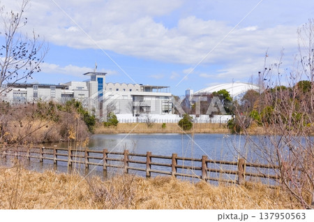 千葉県柏市柏の葉公園周辺2026年3月 千葉県柏市柏の葉公園周辺2026年3月 137950563