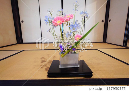 竹原町並み保存地区の旧家に飾られた生け花と和室の風景 竹原町並み保存地区の旧家に飾られた生け花と和室の風景 137950575