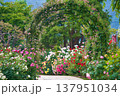 バラのアーチが彩る華やかなガーデンの小径 137951034